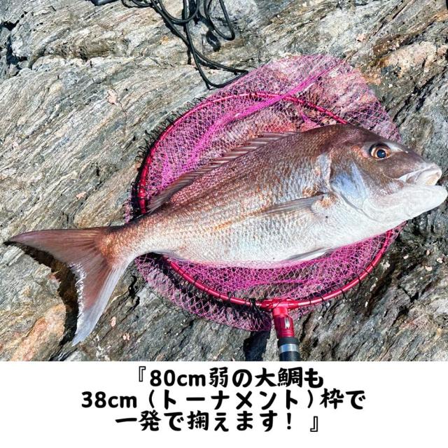 昌栄(Siyouei) ウルトラフレーム極Ver.2 網付 トーナメントモデル 枠40cm×深さ45cm ピンクフレーム×ピンク×ブラックカラー 品番:860-8