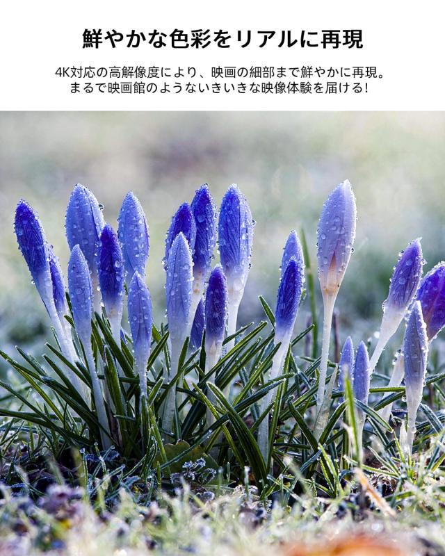 ネトフリ・画面調整自動補正】XNANO プロジェクタ— 家庭用 高輝度