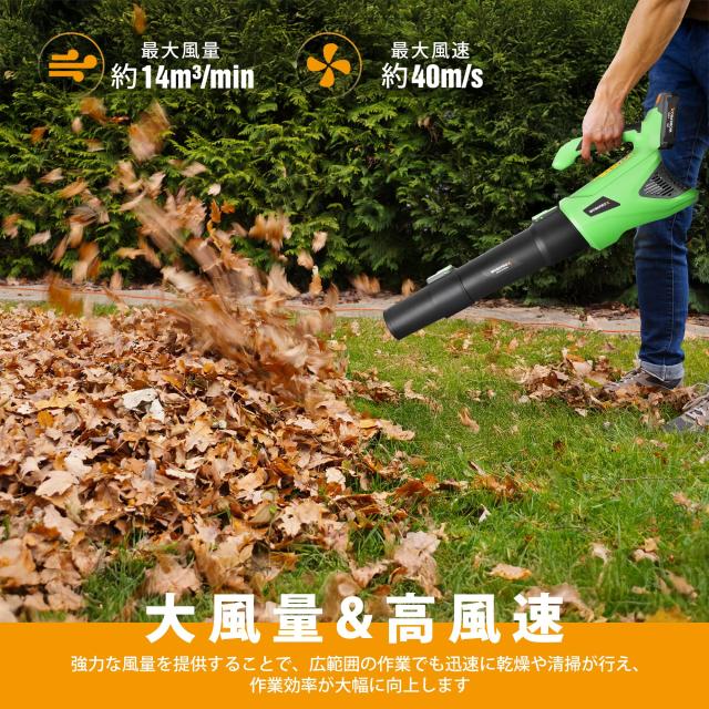 【希少】奇才のシューズデザイナー　ヤン・ヤンセン　直筆サイン付　靴デザイン画 希少】奇才のシューズデザイナー ヤン・ヤンセン 直筆サイン付