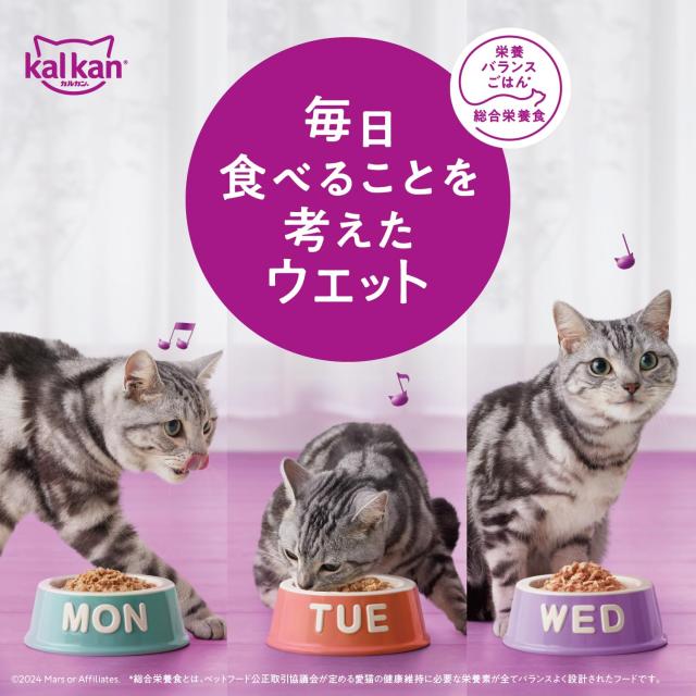 カルカン　パウチ　160袋 カルカン パウチ 1歳から 60g×160袋（8袋入り×20箱） お魚・お肉