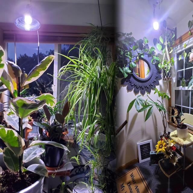 E17 植物育成ライト 新しいLEDフルスペクトル 植物用ledライト E17口金