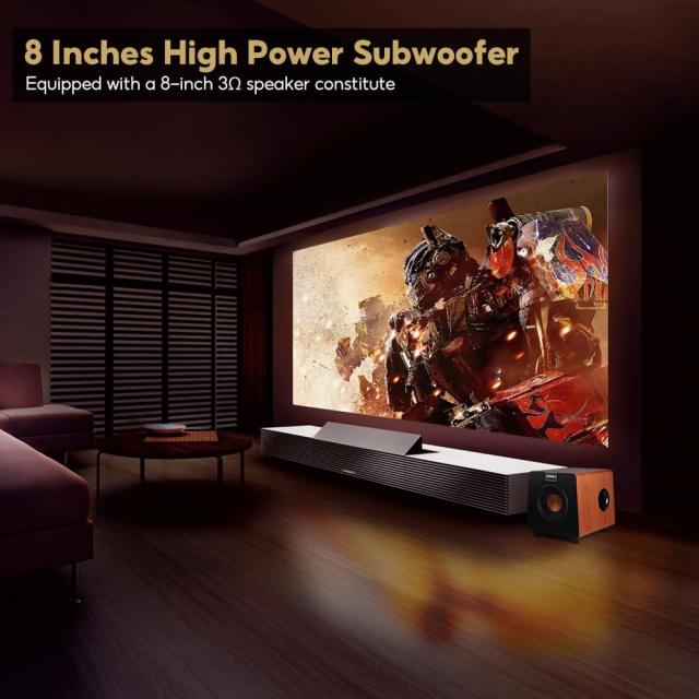 AIYIMA 800 X（3欧州）100 W 8インチアクティブ サブウーファの通販は