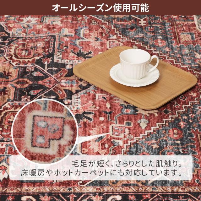【ペルシャ柄ラグ】ラグ カーペット ペルシャ風絨毯 大判 185×185cm（2畳相当）｜洗える 滑り止め 低反発 防音 床暖房対応｜ 抗菌防臭_5