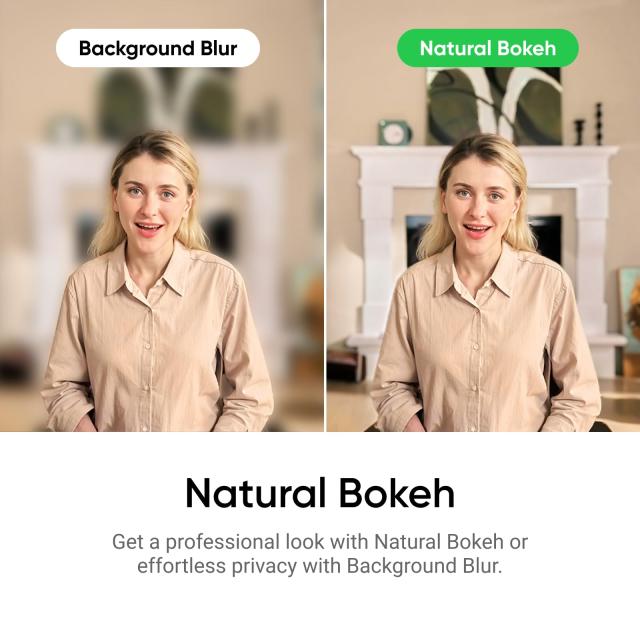 Insta360 Link 2 - Windows/Mac 用 PTZ 4K ウェブカメラ、1/2 インチ センサー、AI トラッキング、HDR、AI ノイズキャンセリング マイク_3