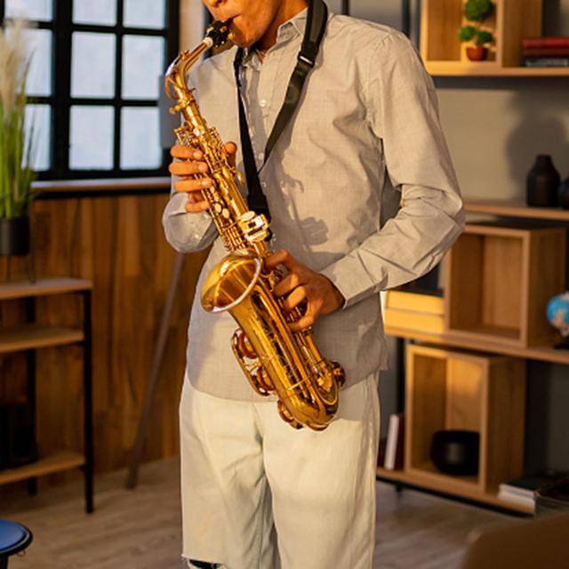 サックス 初心者 アルトサックス Eb 保護ケース付き ⁄Y31016-K2