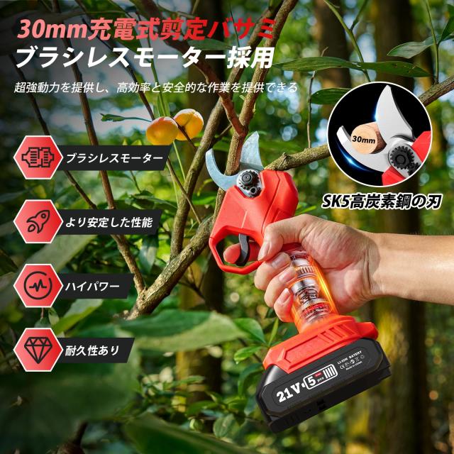 Seesii たかえだ 電動 チェーンソー 高枝切りバサミ 充電式 6インチ