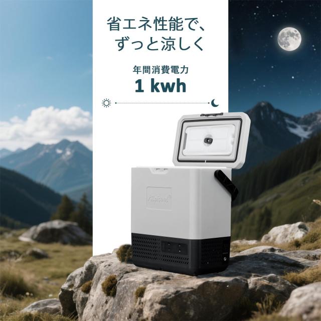 Alpicool ポータブル冷蔵庫 車載冷蔵庫 車載冷蔵冷凍庫 P8 8L 8リットル -20℃〜20℃ コンプレッサー式 急速冷凍 AC100V DC12V/24V コン