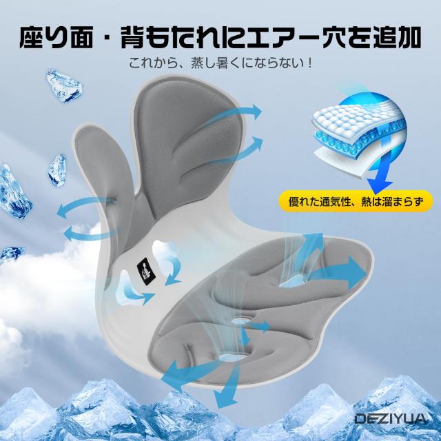 ドイツ レッド？ドット賞受賞ブランド】DEZIYUA(デズヤ）第二世代 姿勢