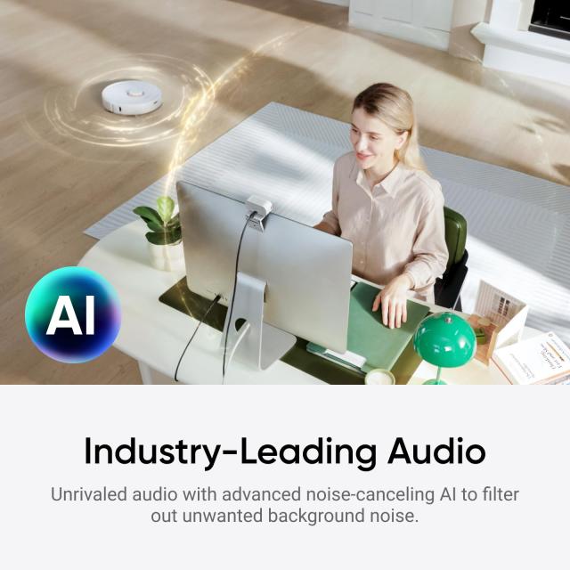 Insta360 Link 2C アークティックホワイト 通常版 Insta360 Link 2C 通常版 アークティックホワイト - PC/Mac 用 4K