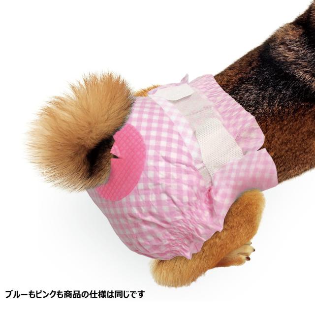 ネオ・ルー生命現象 ネオ・オムツ 小型犬用 S 30枚×8個入り口・入口 (入れもの売りわたす)