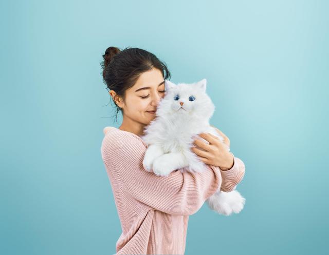 セガフェイブ (SEGA FAVE) KIMIT (キミット) ラグドール (ブラウン