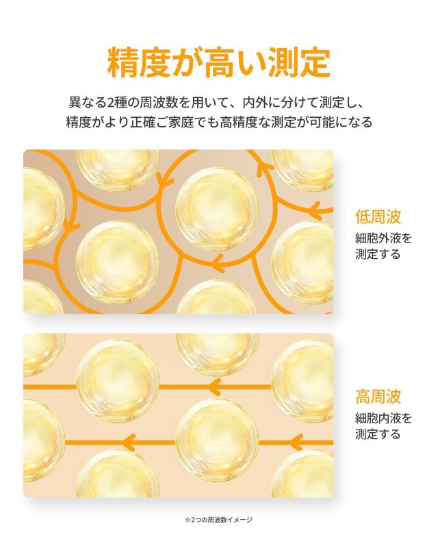 Lyridz 体重計 スマホ連動 体組成計 部位別 体重体組成計 8電極