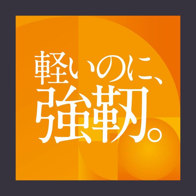 【特別版】2本セット パナレーサー(Panaracer) アジリスト DURO 700×25C クリンチャー 黒 F725-AGD-B-2P_4