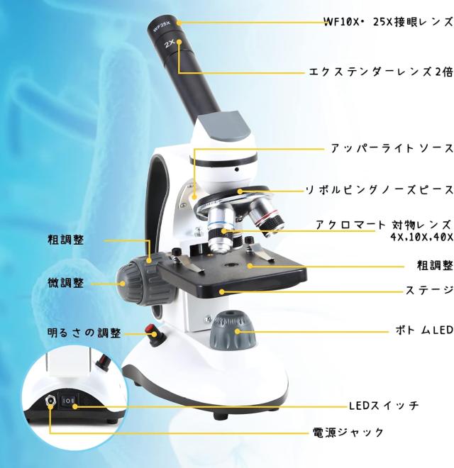 Crspexil 子供顕微鏡【40X−2000X・標本付き】電話アダプタ 30枚の細胞