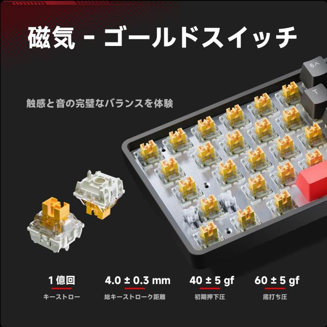 DIERYA x TMKB T68 ラピッドトリガー メカニカルゲーミングキーボード 磁気スイッチキーボード RGBバックライト 有線Type-C コンパクト 6_5