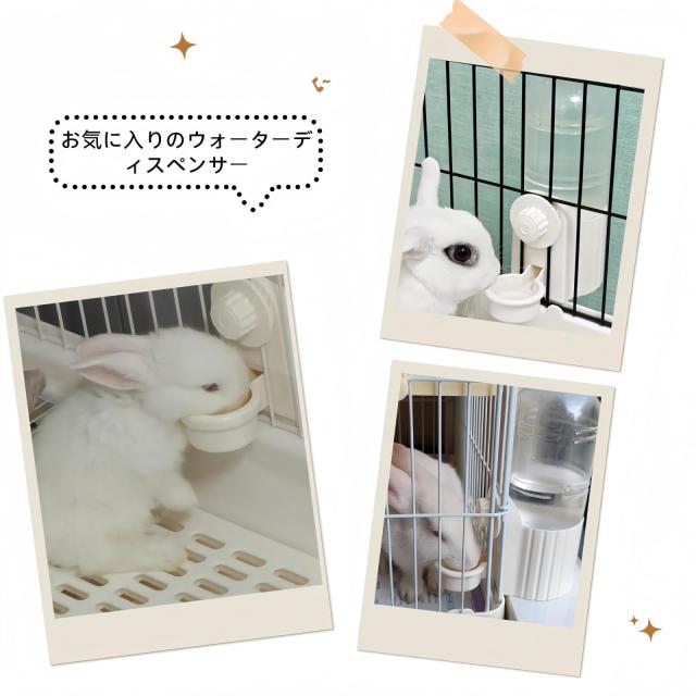 HandyMite ウサギ 給水器 700ml大容量 うさぎ 水飲みボトル 自動給水