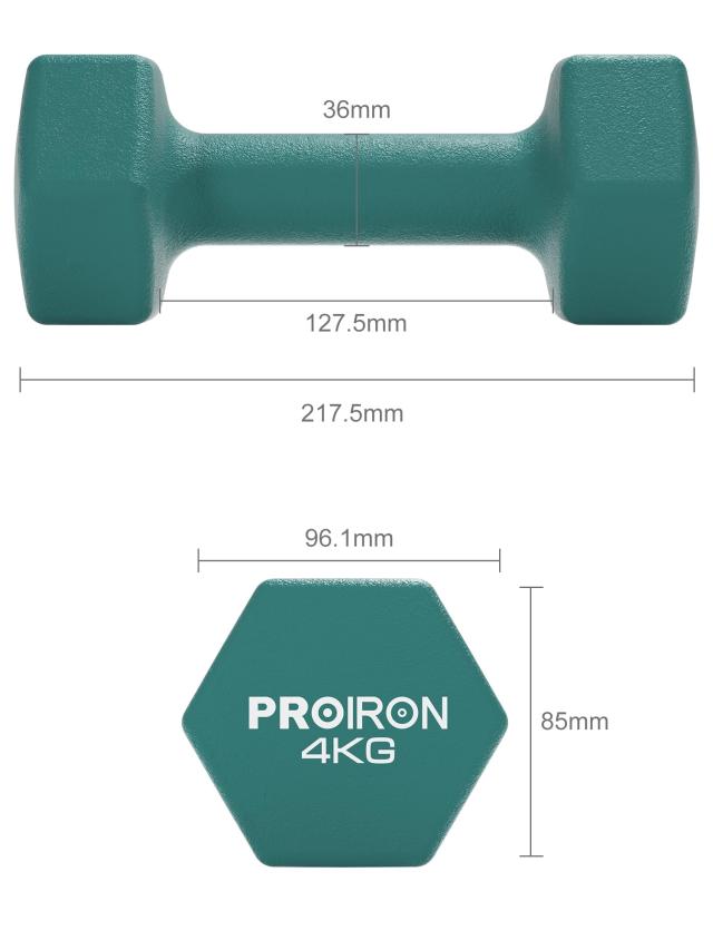 PROIRON ダンベル 鉄アレイ 2個セット 4kg ダンベルセット ソフト