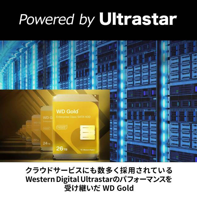 Amazon.co.jp限定】Western Digital ウエスタンデジタル WD Gold 内蔵