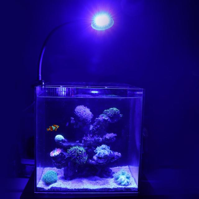 hygger 水槽ライト 海水ライト 海水魚水槽 サンゴ水槽 30W LED