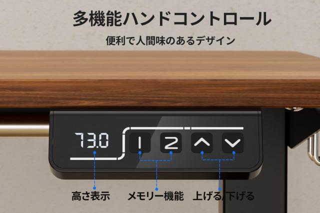 Anovara 昇降デスク 電動 昇降式デスク 電動昇降デスク 幅120cm 奥行