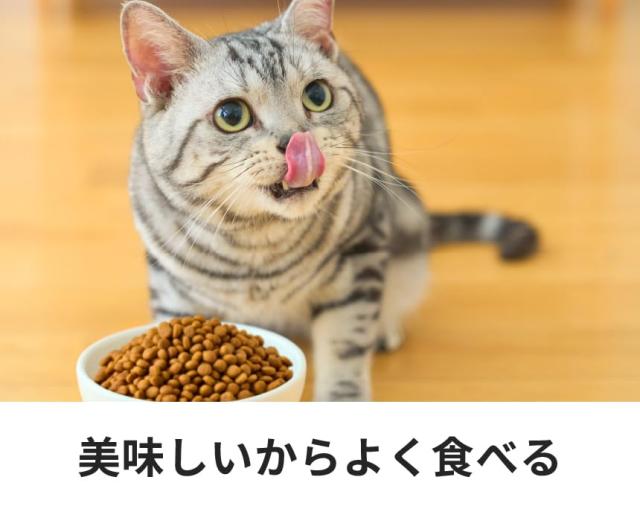 ドクターズケア 猫用ストルバイトケア, チキンテイスト, 1.5kg (250g×6袋)_2