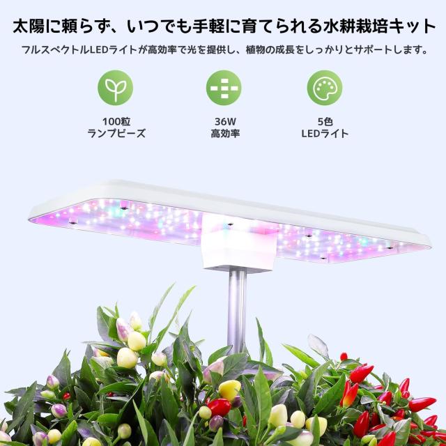 JustSmart 水耕栽培キット 室内 水耕栽培 おしゃれ 家庭菜園 キット