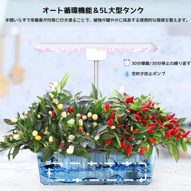 JustSmart 水耕栽培キット 室内 水耕栽培 おしゃれ 家庭菜園 キット