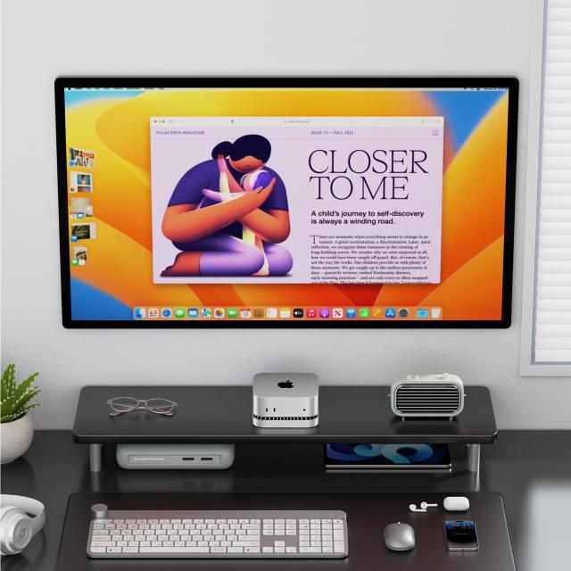 40Gbps】Mac Mini M4 対応ハブ RayCue USB-Cハブ 4-in-1 -NVMe SSD拡張