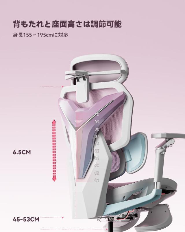 AutoFull(オートフル) G7 オフィスチェア デスクチェア 人間工学 テレワーク 疲れない 人体工学椅 メッシュチェア 10段階調整背もたれ 3