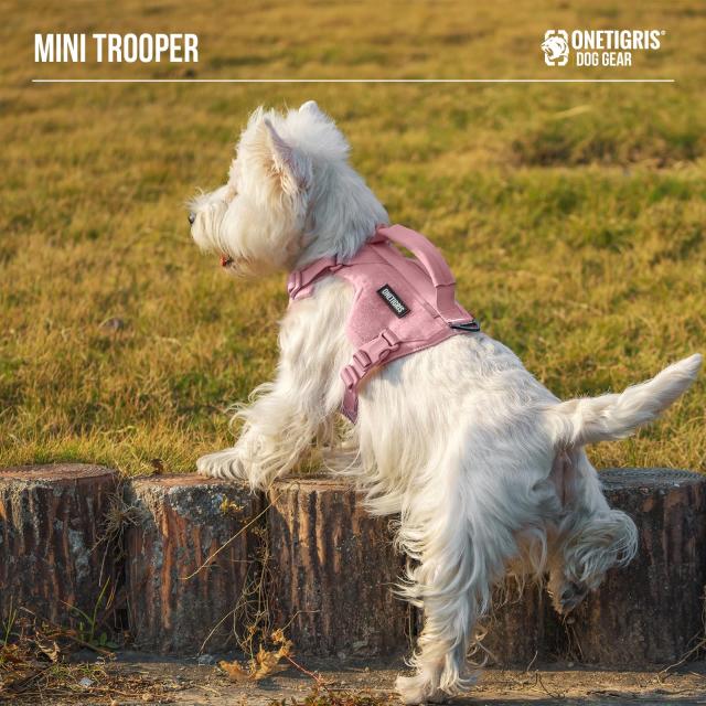 OneTigris 犬 ハーネス 小/中型犬に向け 引っ張り防止 喉に優しい 犬用