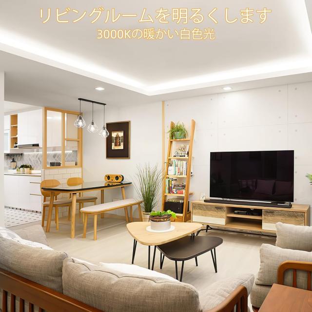 Lamomo LED磁気テープ ともし火30M 雨合羽 高明快さ 熱電子管ともし火調光能力のある 折り曲げ自在 切りはなす能力のある 持ちこたえる 24V 白熱電球色 ネオンともし火 LED 磁気テープ 間