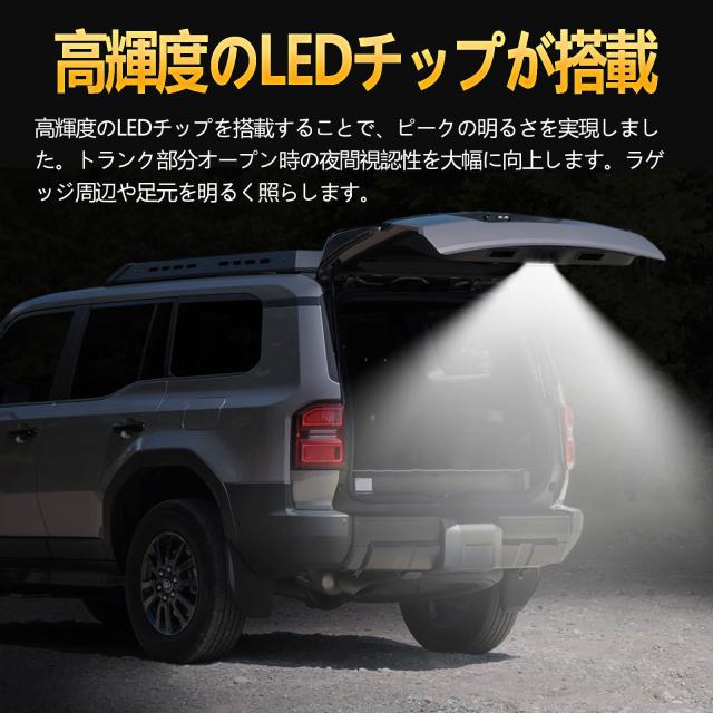 TELLIKA ラゲッジランプキット ランドクルーザー 250 ZX・VX