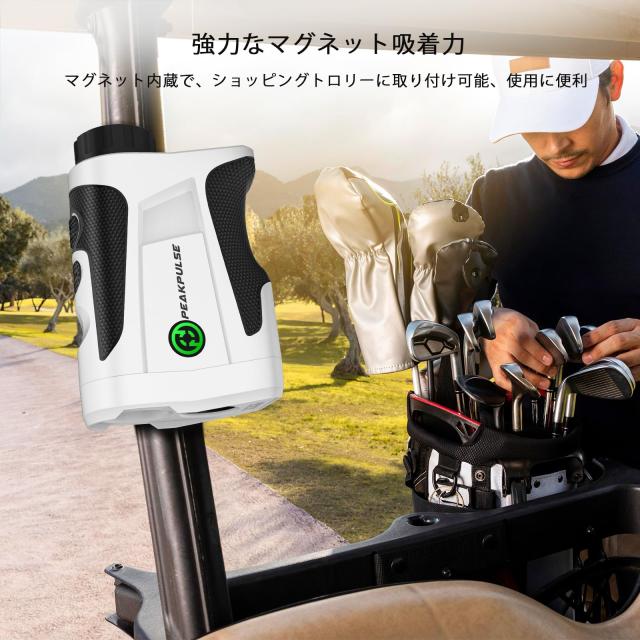 究極のエンジンを求めて 続―兼坂弘の毒舌評論 新・究極のエンジンを