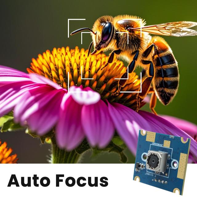 ELP オートフォーカス USB カメラ 5 メガピクセル 1944P 60 度 歪みなしレンズ ライトブラウン PC カメラモジュール プラグアンドプレイ_1