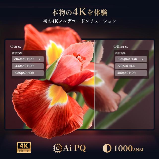 Netflix公式ライセンス・Dolbyサウンド搭載 iSinbox 4Kデコード