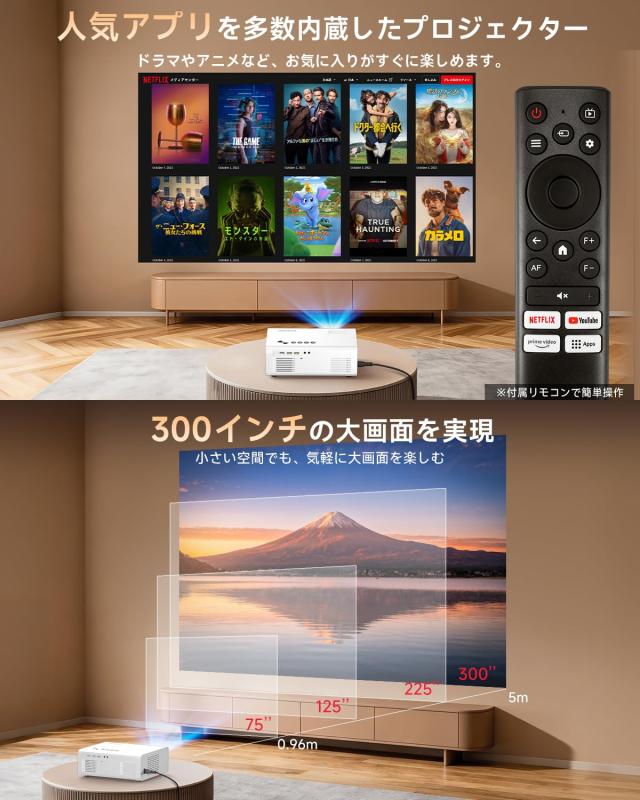Netflix公式ライセンス・Dolbyサウンド搭載 iSinbox 4Kデコード