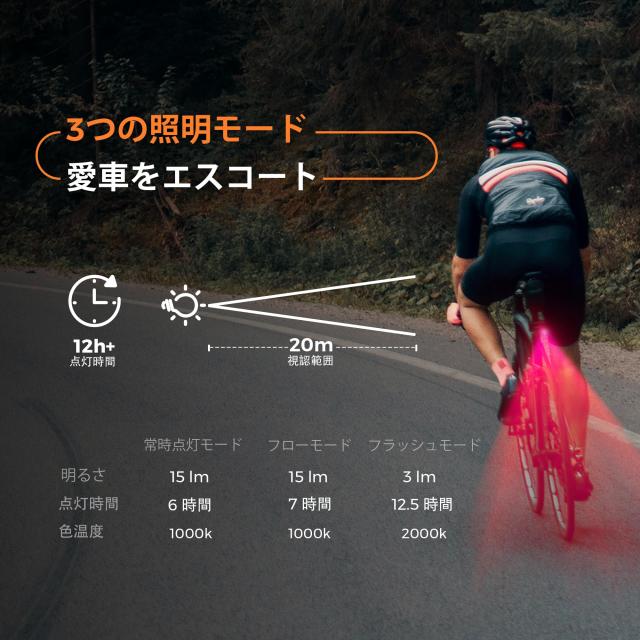 FLEXTAILGEAR TINY TIRE PUMP ACS 銀輪揚水機 車 空気の状態入れ 電動くうき入れ 車120 PSI 剪断応力ゲージ テールランプ絵図面 TYPE-C 印字機