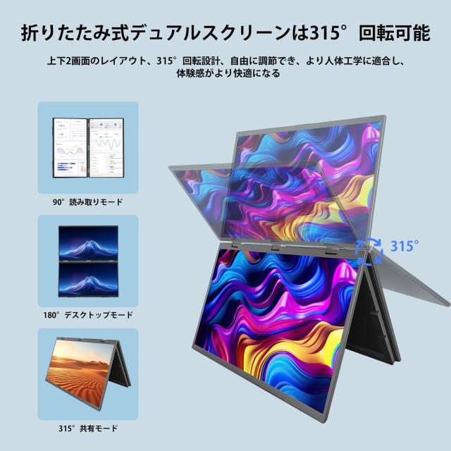 18.5インチ デュアルディスプレイ（ケース付き） 18.5インチ デュアルディスプレイ（ケース付き）