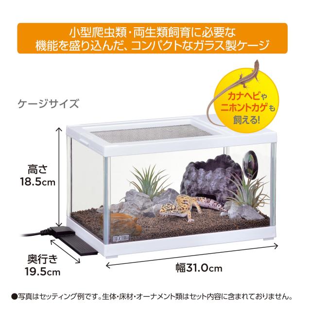 GEX レプテリア レオパ飼育キット S 爬虫類 両生類用品 爬虫類用品 爬虫類ケージ ジェックス EXO TERRA 2個セット: ペット・ペットグッズ ジェックス EXO TERRA レプテリア