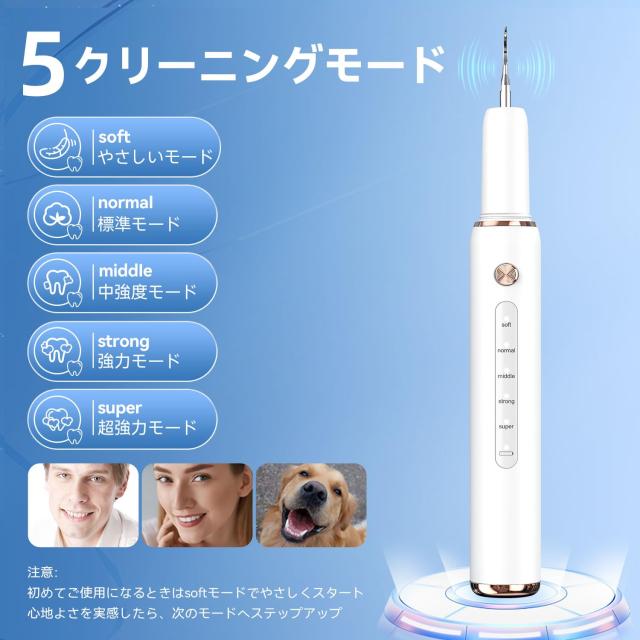 歯クリーナー 口腔洗浄器 USB充電器 LEDライト付き 誤作動防止機能 口腔洗浄器　音波振動クリーナー　口内洗浄　美白 歯垢洗浄　口腔ケア　電気歯クリーナー　音波歯クリーナー　電動歯クリーナー　歯間洗浄器　 ジェットウォッシャー　安全で痛みない　LEDライト付き　乾電池式　軽型　携帯型　家庭用　自宅
