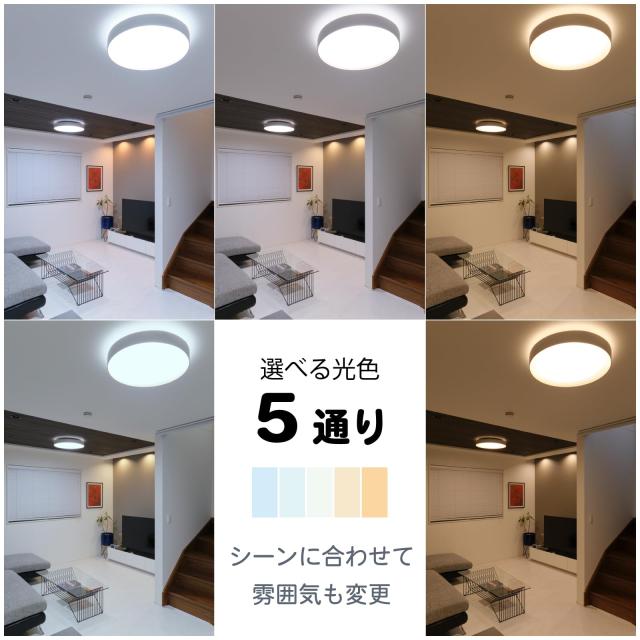 HotaluX（ホタルクス） ＜日本製＞ LEDシーリングライト HLDC08665W2-A