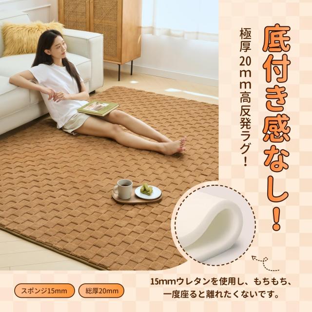 Ashler ラグ カーペット 極厚20mm 厚手 200×250cm 約3畳 防音 防ダニ 抗菌 低ホルム ふわっと手触り もちもち 滑り止め ホットカーペッ_1