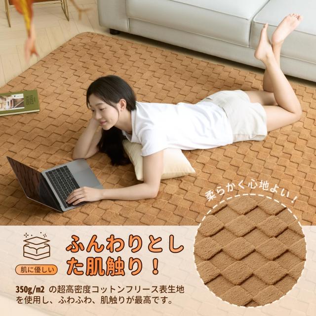 Ashler ラグ カーペット 極厚20mm 厚手 200×250cm 約3畳 防音 防ダニ 抗菌 低ホルム ふわっと手触り もちもち 滑り止め ホットカーペッ_2