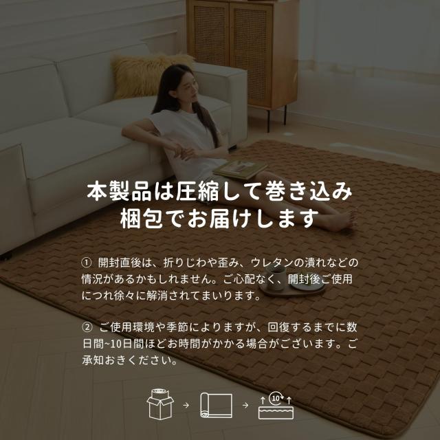 Ashler ラグ カーペット 極厚20mm 厚手 200×250cm 約3畳 防音 防ダニ 抗菌 低ホルム ふわっと手触り もちもち 滑り止め ホットカーペッ_6