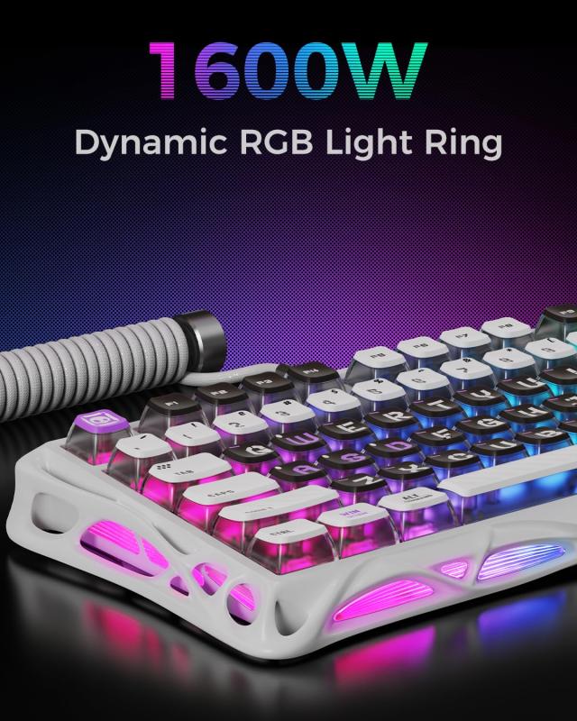 0.005mmラピッドトリガー 搭載 GravaStar Mercury V75 ゲーミング