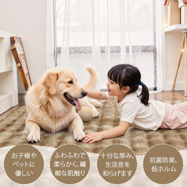 HAOCOO カーペット 約2畳 洗える ラグ 160х200cm ラビットファー調 厚手 シャギー ふわふわ 滑り止め 低反発 オールシーズン適用 北欧風_1