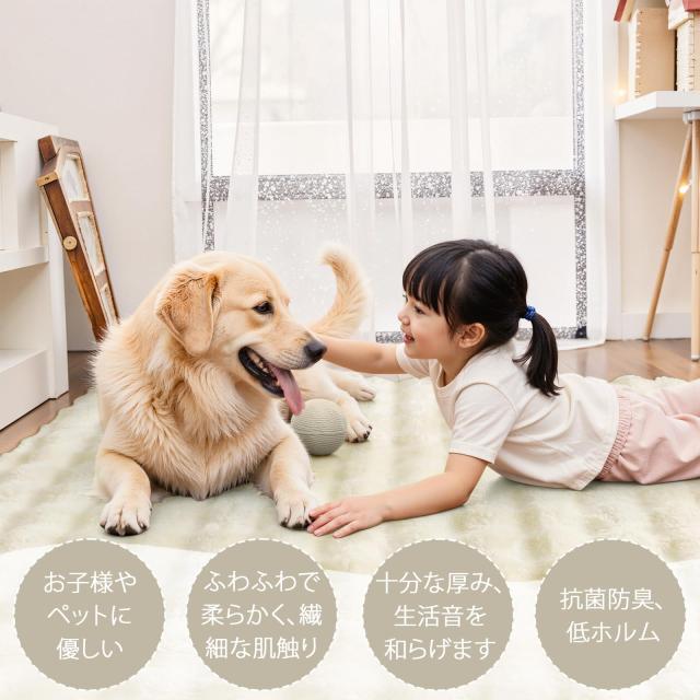 HAOCOO カーペット 約2畳 洗える ラグ 160х200cm ラビットファー調 厚手 シャギー ふわふわ 滑り止め 低反発 オールシーズン適用 北欧風_1