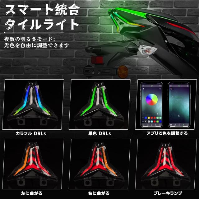 Raceast スマート オートバイ LED テール ライト RGB アプリ制御 NINJA