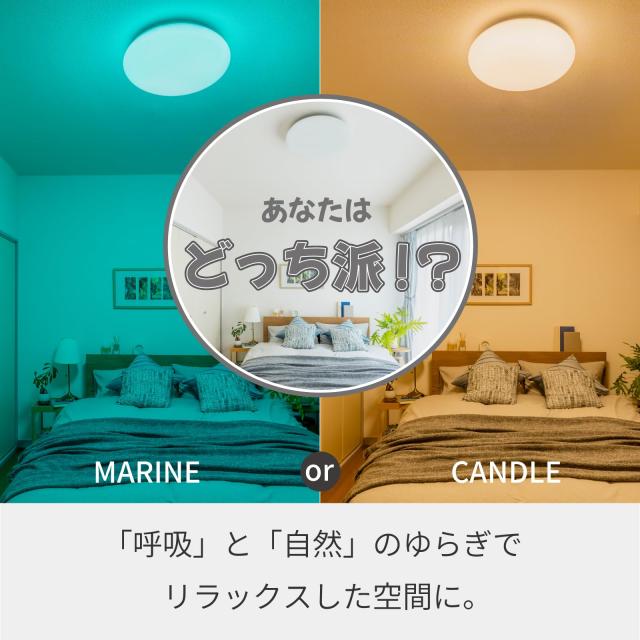 HotaluX（蛍クス） LED最高限度ともし火 ＜日本製＞ ~8畳(日本ともし火産業会標準尺度)4299ルーメン 調光印字機 常夜灯 遠隔操作 かんたん欠席タイマ