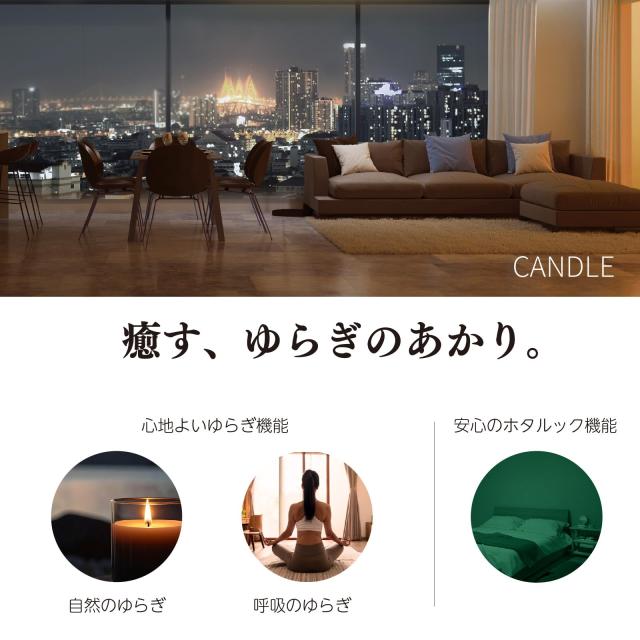 HotaluX（蛍クス） LED最高限度ともし火 ＜日本製＞ ~8畳(日本ともし火産業会標準尺度)4299ルーメン 調光印字機 常夜灯 遠隔操作 かんたん欠席タイマ